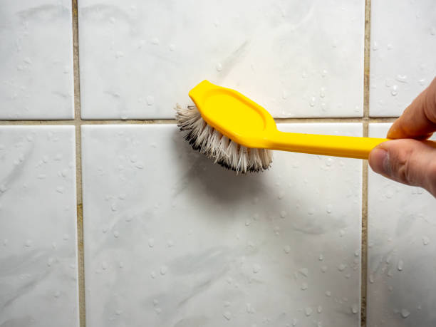 Best Home Mold Removal  in Nevada, TX