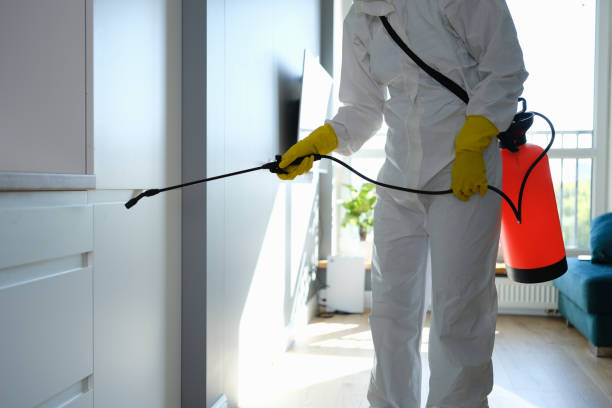 Crawl Space Mold Removal in Nevada, TX