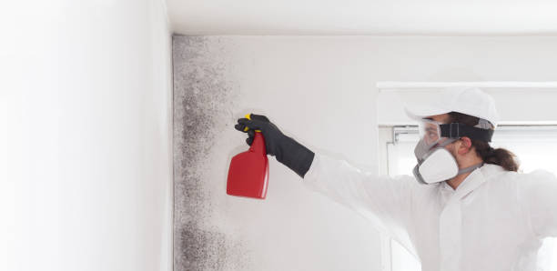 Best Professional Mold Removal  in Nevada, TX