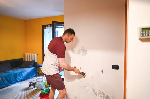 Best Crawl Space Mold Removal  in Nevada, TX